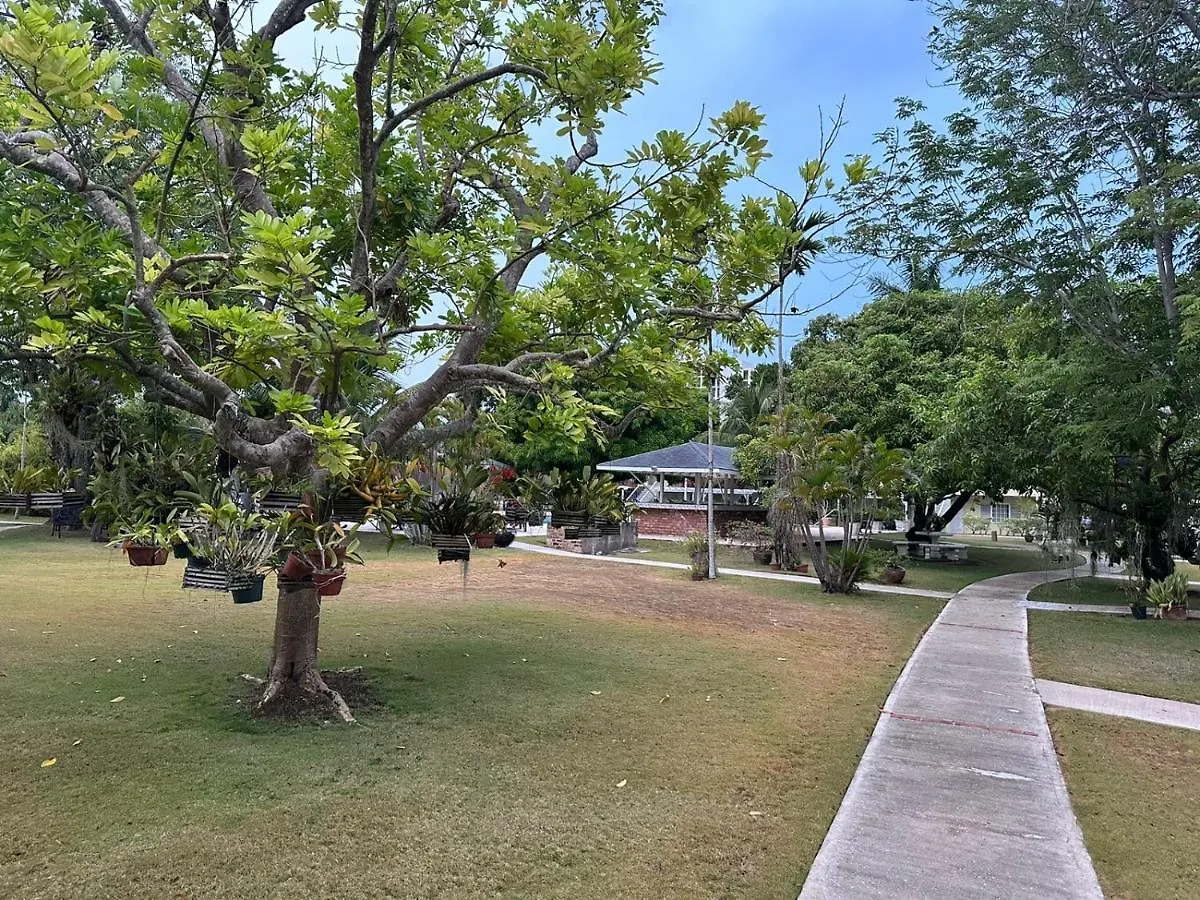 Serenity On The Bay Montego Bay Apartment