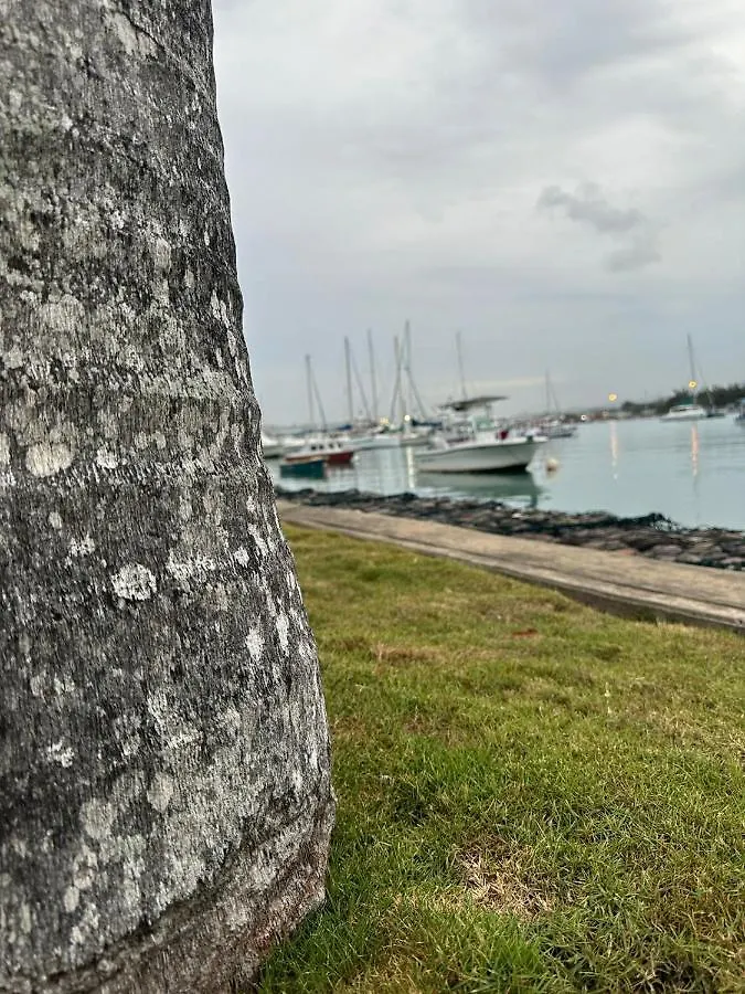 Apartment Serenity On The Bay Montego Bay